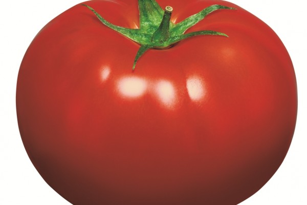 tomato5E1F5764-F04F-F84D-AEAE-3FB36E26422C.jpg